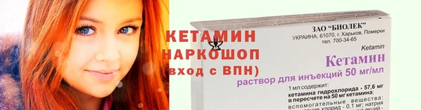 стаф Кодинск
