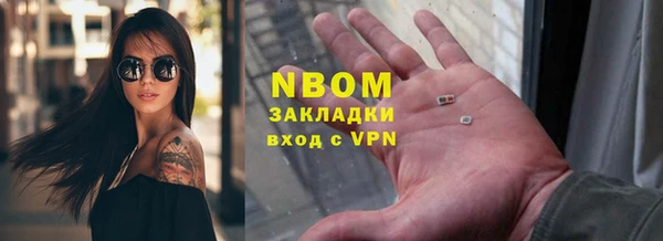 стаф Кодинск