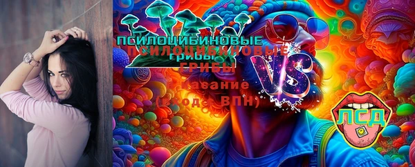 стаф Кодинск