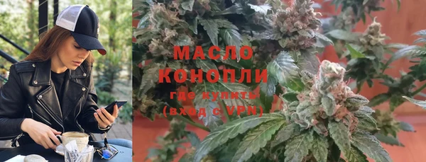 стаф Кодинск