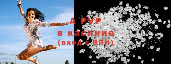 шишки Козловка