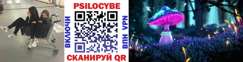 Псилоцибиновые грибы GOLDEN TEACHER  mega   Красавино  сколько стоит 